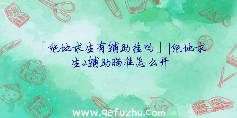 「绝地求生有辅助挂吗」|绝地求生2辅助瞄准怎么开